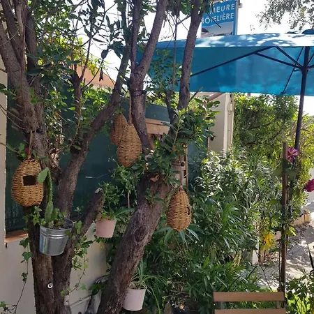 Hotel Maya 2*